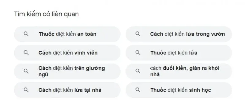 Các Loại Từ Khóa Trong SEO Phổ Biến ⚡️ Cách Tìm Từ Khóa Hiệu Quả