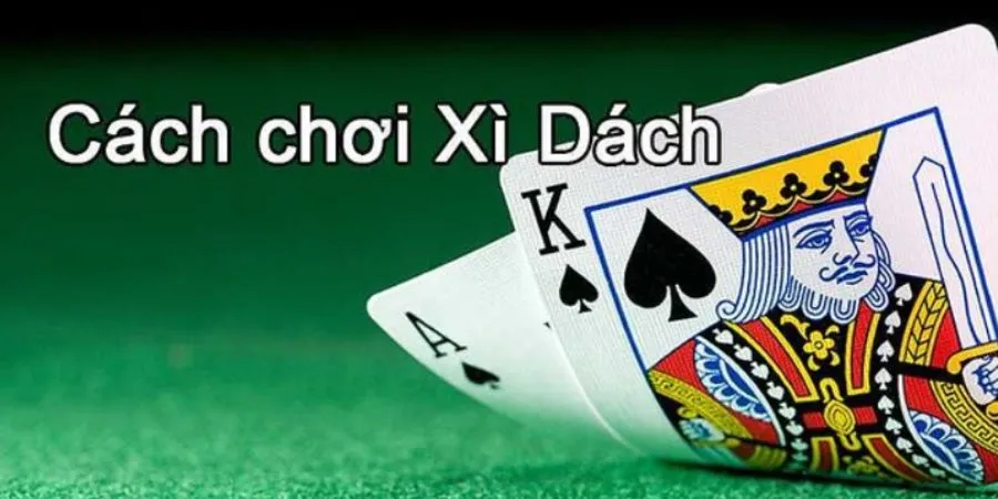 Cách Chơi Bài Xì Dách Cho Người Mới Bắt Đầu Tham Gia