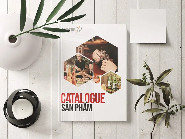 Cách In Catalogue Hiệu Quả Nhất Giúp Gây Ấn Tượng Với Khách Hàng