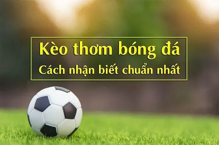 Kèo Thơm Là Gì? ⚡️ Cách Bắt Kèo Thơm Cho Người Mới Bắt Đầu Chơi