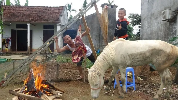 Mơ Thấy Ngựa Bạch Có Ý Nghĩa Gì? Bạn Nên Lựa Chọn Con Số Nào?