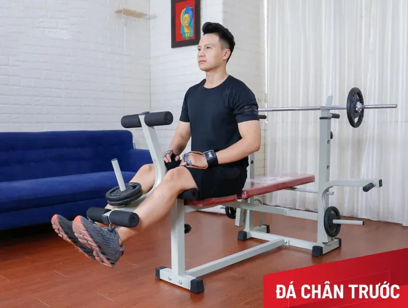 Tổng Hợp Các Bài Tập Với Giàn Tạ Đa Năng Hiệu Quả Cho Người Mới