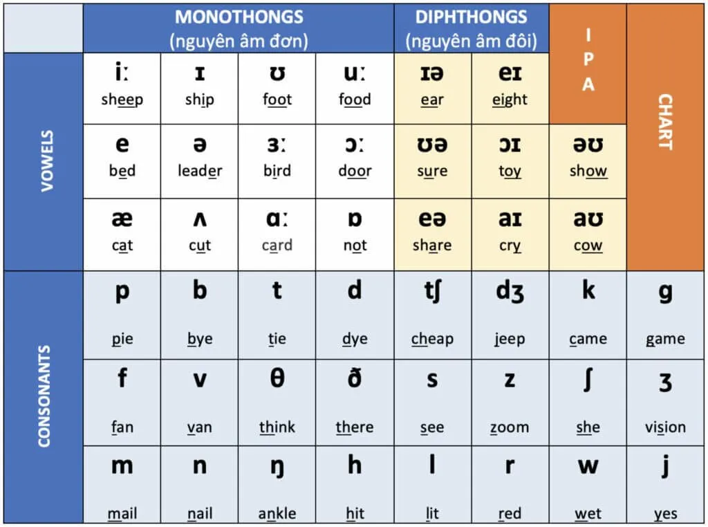 Top 06+ Những Cách Tự Học Tiếng Anh Hiệu Quả Cho Người Mới