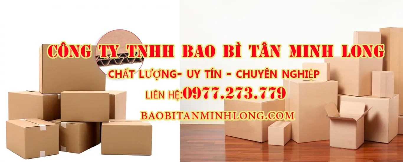 Top 10+ Công Ty Sản Xuất Thùng Carton Ở Bình Dương Giá Rẻ Nhất