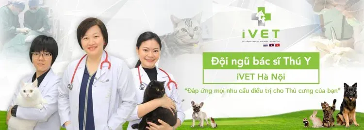 Top +10 Phòng Khám Thú Y Tại Hà Nội Chất Lượng Nhất