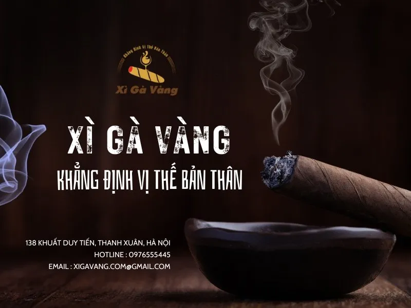 TOP 3 Địa Chỉ Bán Xì Gà TPHCM Uy Tín – Kinh Nghiệm Chọn Mua Xì Gà