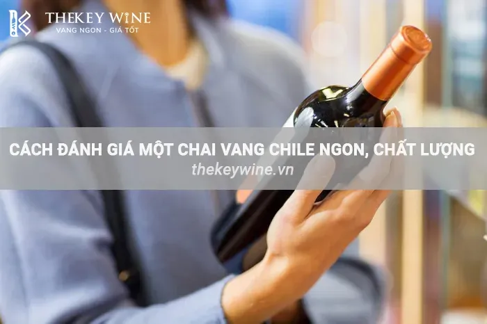 Top 4+ Những Cách Chọn Rượu Vang Chile Chất Lượng & Chính Hãng