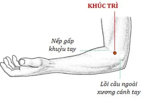 Top 8+ Cách Bấm Huyệt Chữa Bệnh Run Tay An Toàn & Hiệu Quả