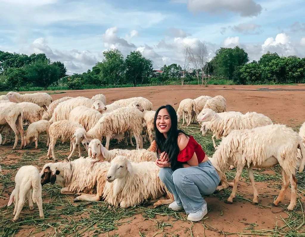 Từ Sài Gòn Đi Vũng Tàu Bao Nhiêu Km? Kinh Nghiệm Du Lịch